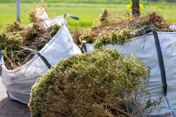 Best Hoarding Cleanup  in Methuen Town, MA